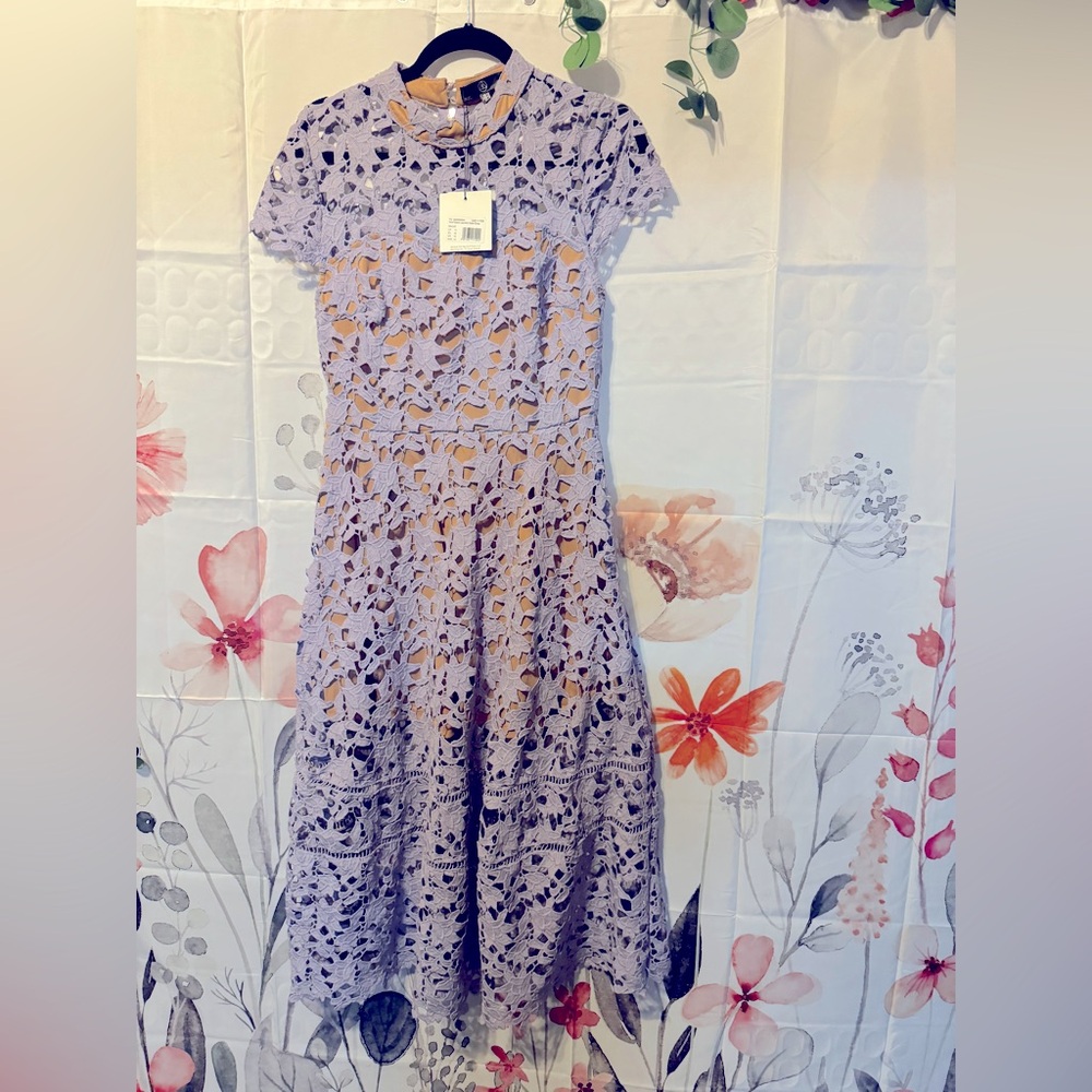 Light lavender and nude Lace Midi Skater Dress with Sheer Panels - Size 10 (US)
